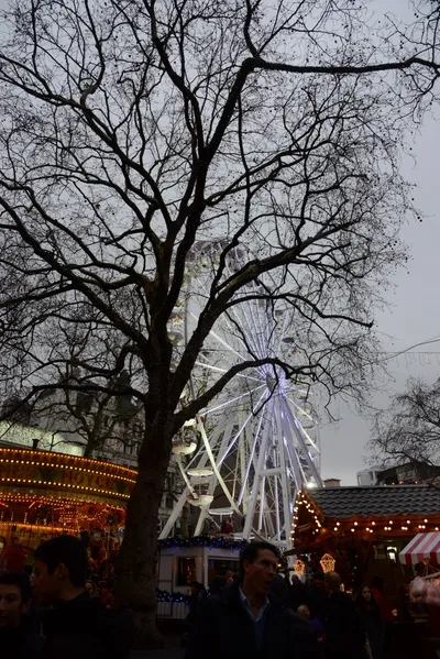 DSC_5940 (Large).JPG